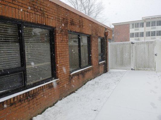 Soft Wash Vinyl Fencing and Brick Walls 
(BEFORE PICTURE)