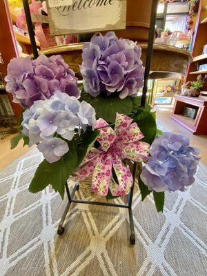 Hydrangeas