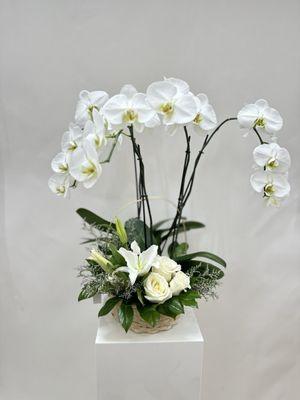 Beautiful sympathy arrangement.