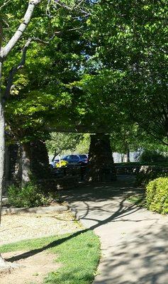 Shaded picnic area