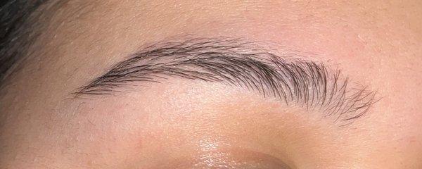 My right eyebrow, 1 day after! (I forgot to take a picture)