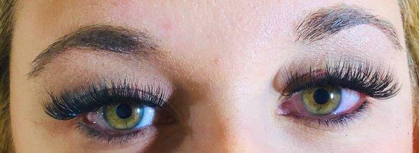 Hybrid Lashes