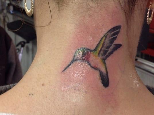 The hummingbird on the back of a neck