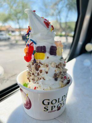 Golden Spoon Frozen Yogurt