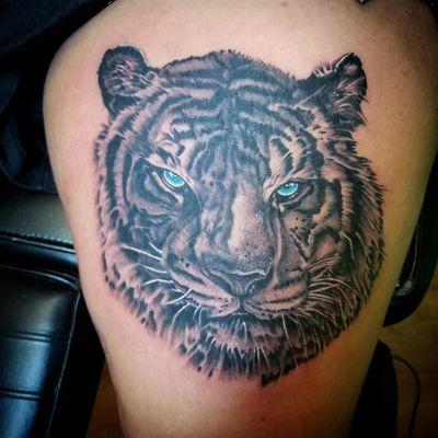 Black and Gray Tiger head by Paul