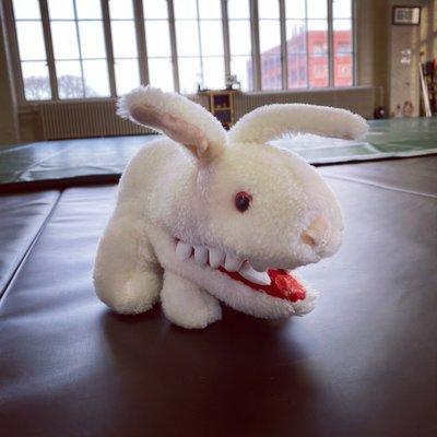 Our mascot, the evil bunny.  With nasty point teeth!  He can leap about... look at the bones!