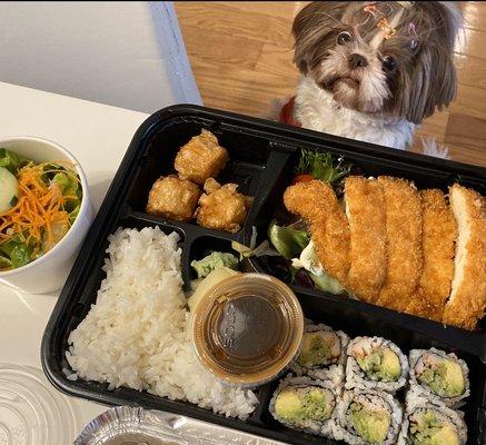 Chicken Katsu Lunch Box with salad