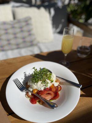 Tomato Salad