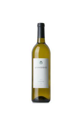 Uvaggio Vermentino