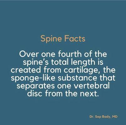 Spine Facts