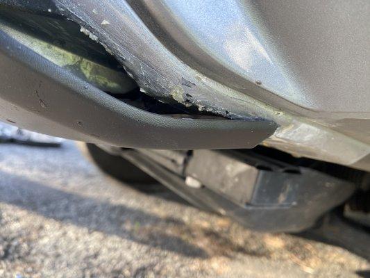 Glue and paint damage to bumper from dealership