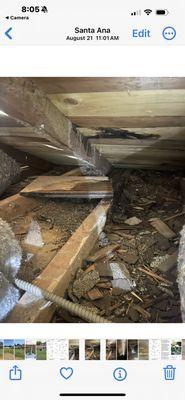 Debris left in attic from a complete roof replacement!