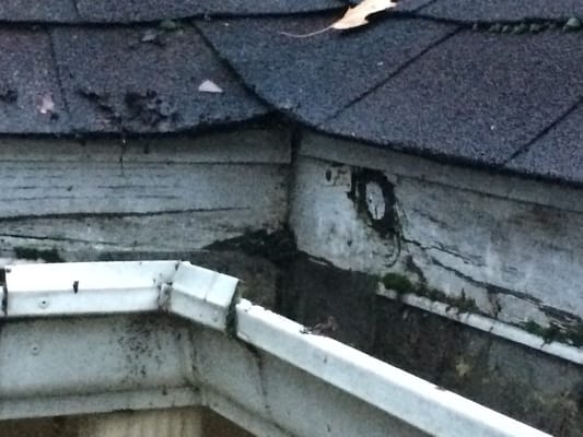 If your facia boards have rotted, it's only a matter of time before the gutters fall off!