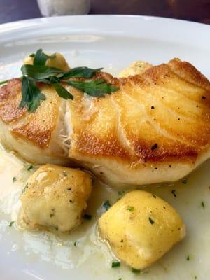 Wild Chilean Sea Bass with ricotta gundi and brown butter.