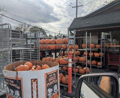 Doylestown Produce