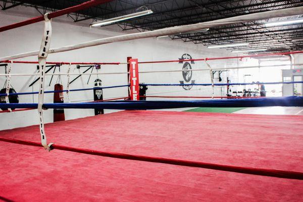 Inside the club - Boxing Ring