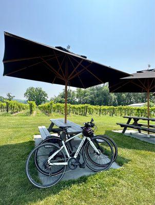 Outdoor Tasting Area