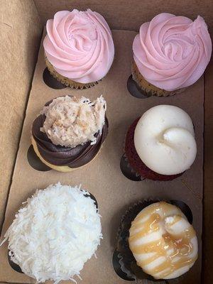 Lemon Poppyseed/Raspberry Swirl, Vanilla/German Chocolate, Red Velvet/Vanilla Buttercream, Key Lime/Coconut, Chocolate/Salted Caramel