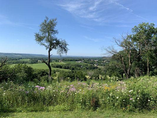 View from the overlook, looking toward the Mississippi