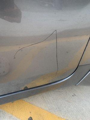 Keyed car from fitness connection.