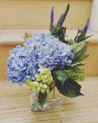 Blue hydrangea and veronica