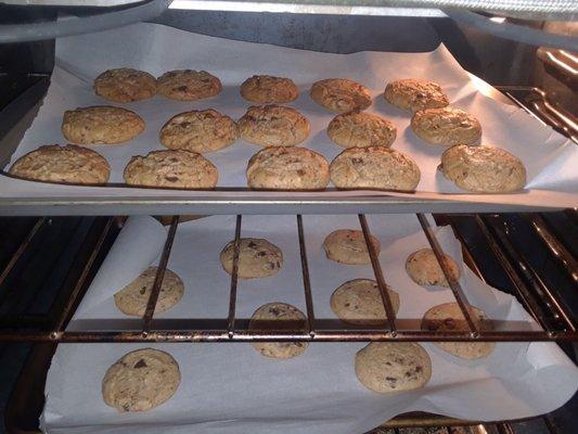 Chocolate Chunk Cookies