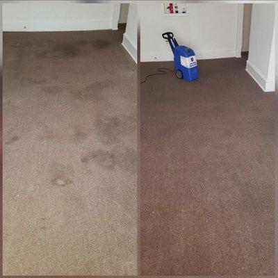 Need your carpet clean,  give us a call..