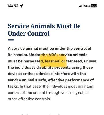 To show the a service animal doe Not need a service Vest!