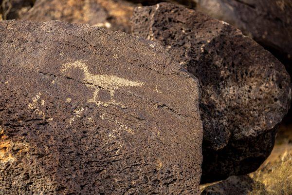 Petroglyph National Monument