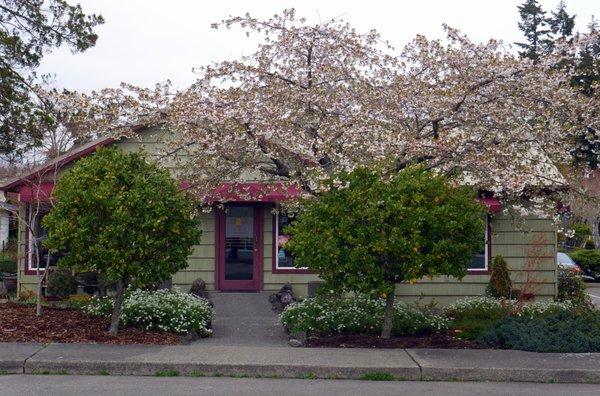 storefront in spring