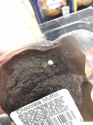 Moldy muffin #2