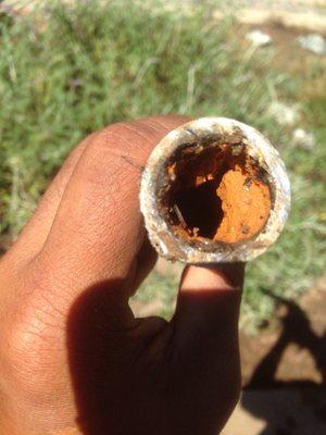 Inside of an old water pipe, installed about a century ago.