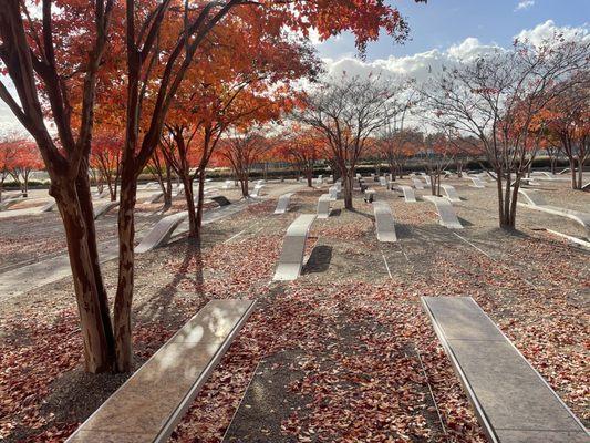 Fall colors and peacefulness