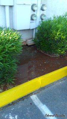 Raw sewage  at Hampton  court apartments 3955 swenson st