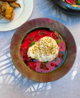 Garden burrata salad