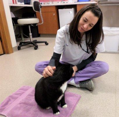 Carl, Purrfect Care's office cat, enjoys some one-on-one time with Piper.