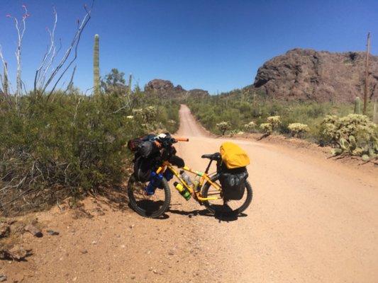 Tucson Bicycle Service