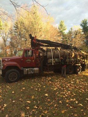 FX Tree Service