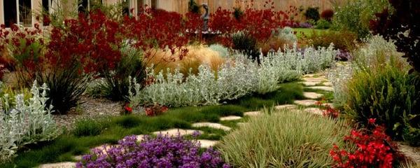 We provide innovative planting combinations for year round color and interest