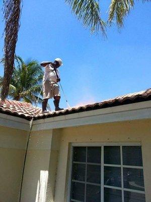 Roof cleaning