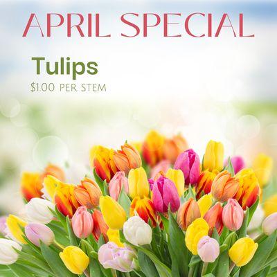 Tulips $1.00 for the month of April!