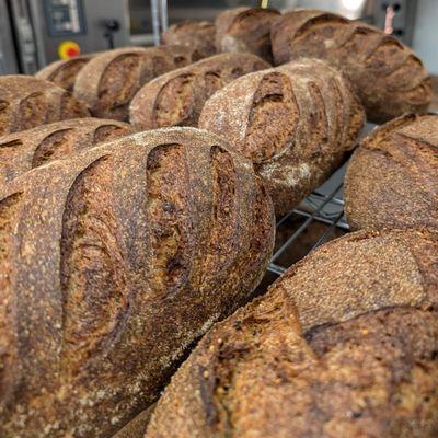 Alpenlaib - caraway, coriander and fennel