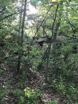 Pretty rocks near the Tapp Rd entrance to the trail