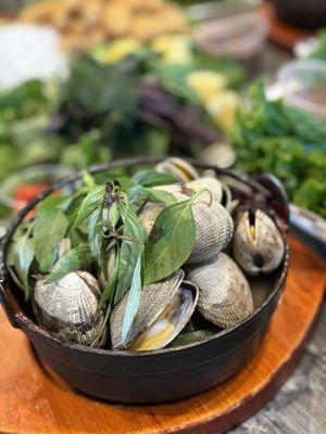 steamed clams with basil