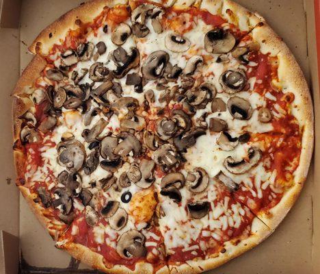 Mushroom Pizza