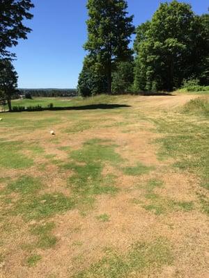 Hole 6 brown with the sprinkler on 5 (at noon!)