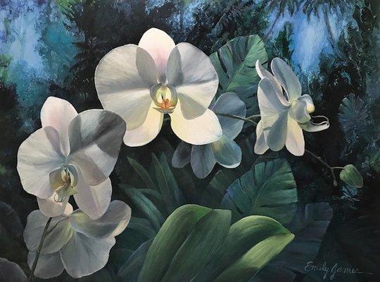 "White Orchids"