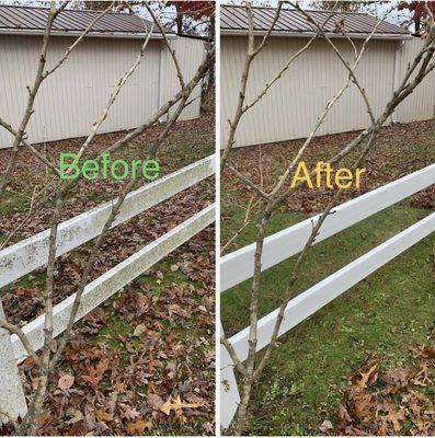 Cleaning a vinyl fence using our 'NO PRESSURE' system.