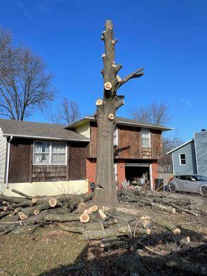 Large oak over a house in Mexico missouri