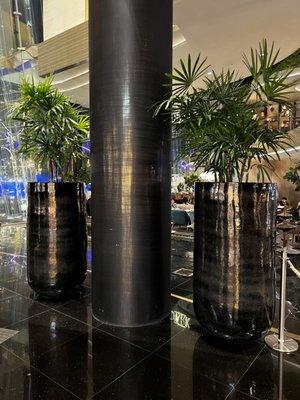 Our Limited edition tall fiberglass glossy planters standing tall and powerful!